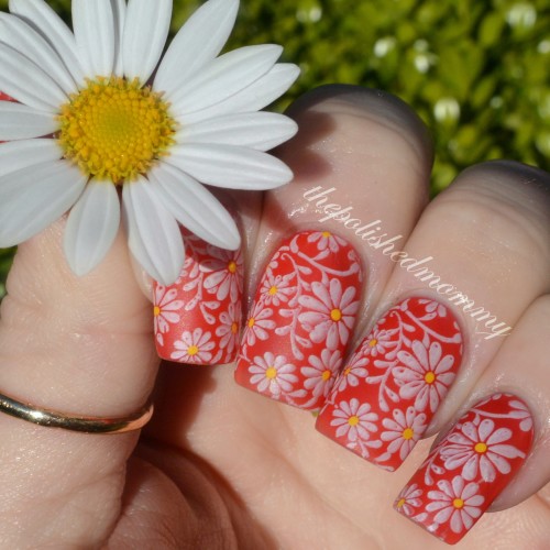 spring daisies-002